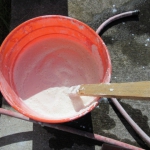 201906 WP5.jpg